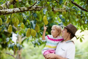 A family enjoying outdoor activities with kids in Nonthaburi