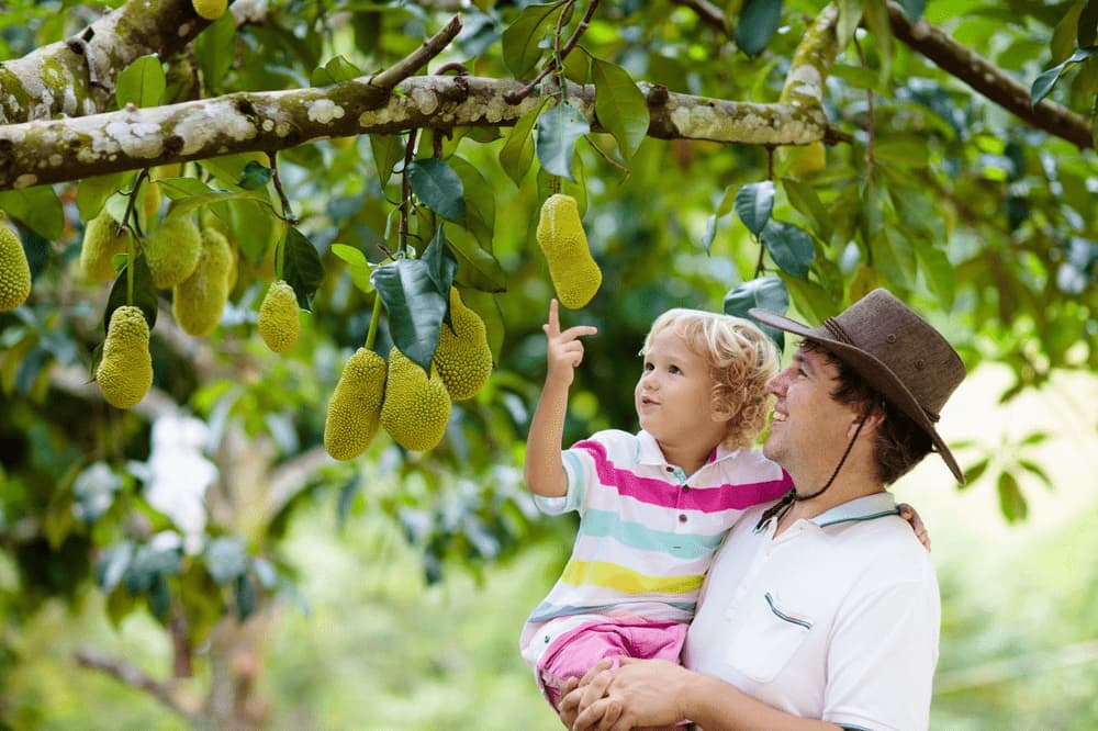 A family enjoying outdoor activities with kids in Nonthaburi